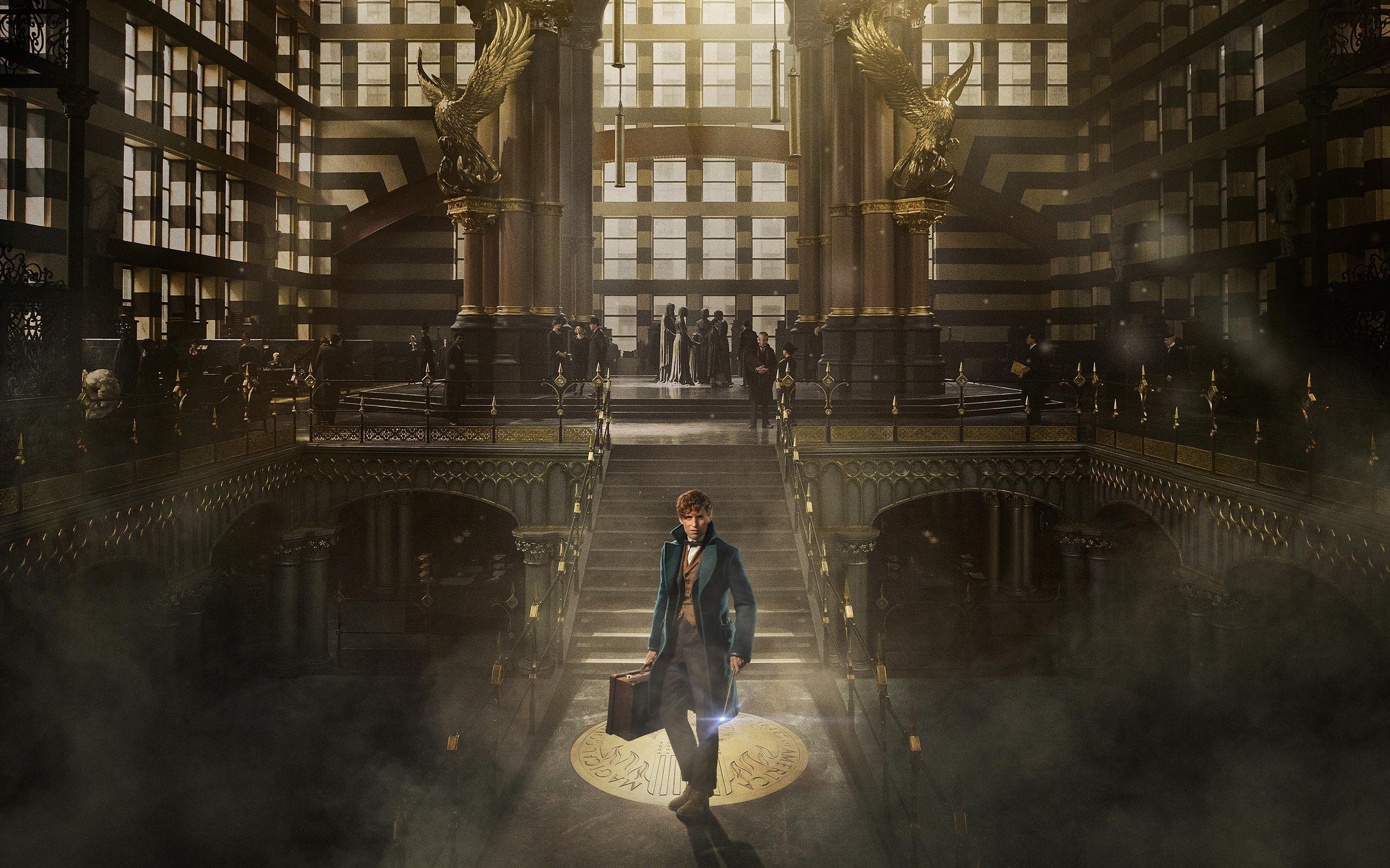 2764x1727 Newt Scamander HD Wallpaper and Background Image