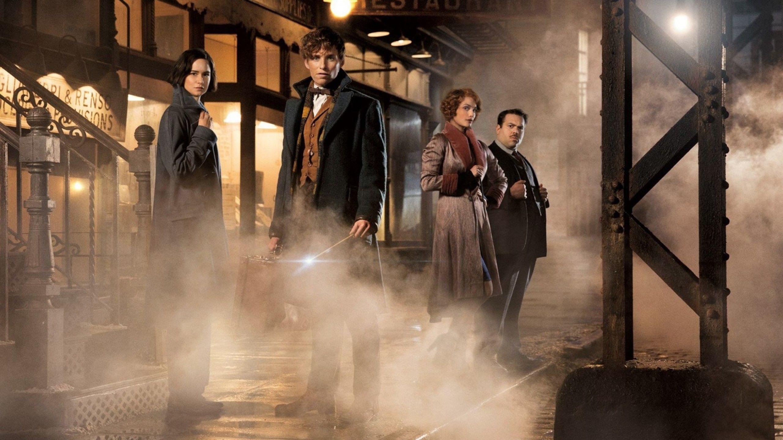 2560x1440 Fantastic Beasts And Where To Find Them, Katherine