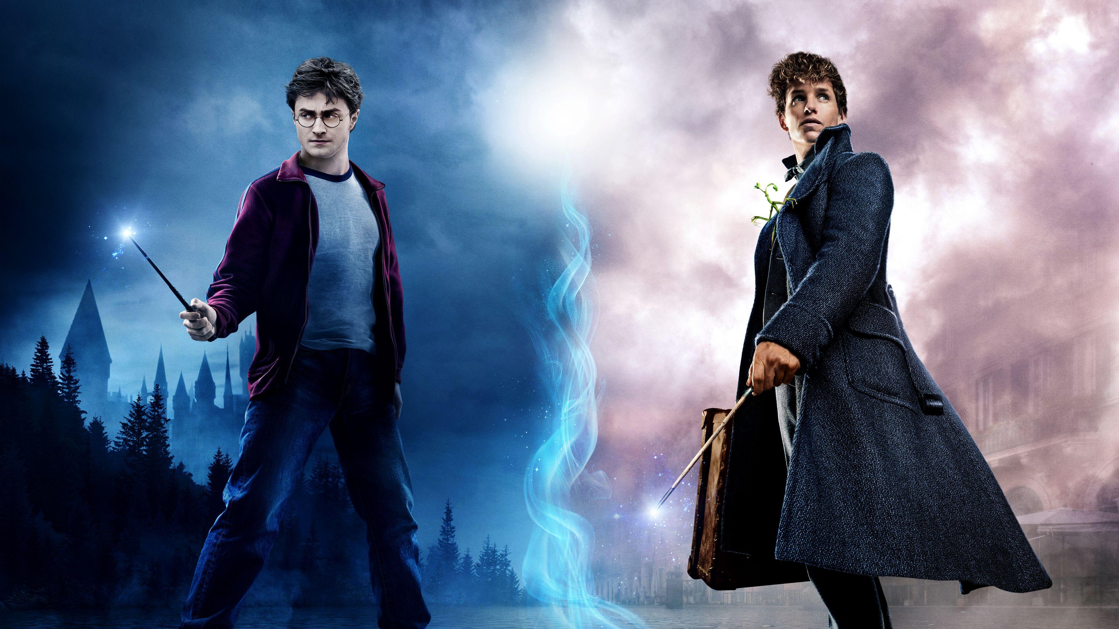 3840x2160 Wallpaper Fantastic Beasts and Where to Find Them, Harry Potter