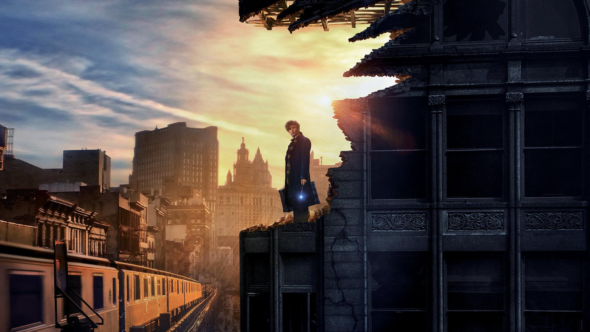 1920x1080 High resolution Fantastic Beasts And Where To Find Them HD