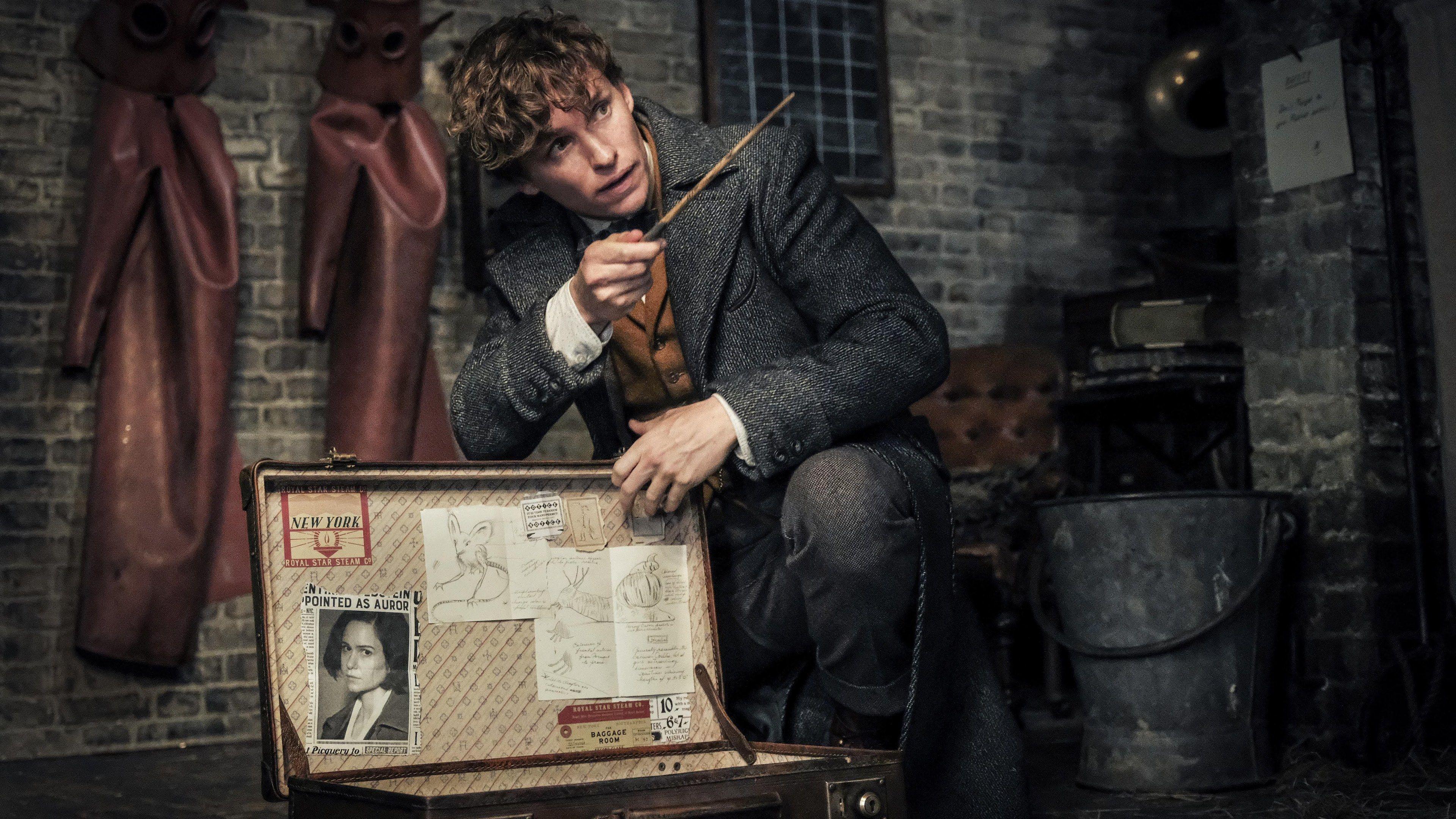 3840x2160 Wallpaper 4k Eddie Redmayne As Newt Scamander In Fantastic Beasts