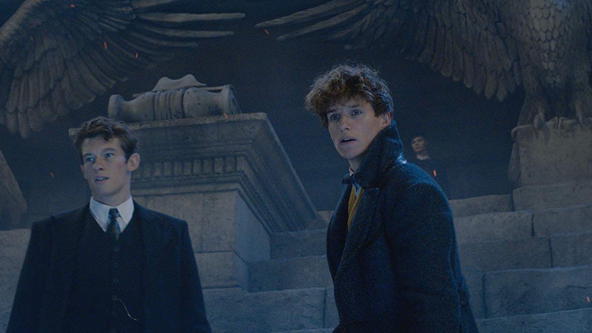 Fantastic Beasts HD Wallpapers - Top Free Fantastic Beasts HD