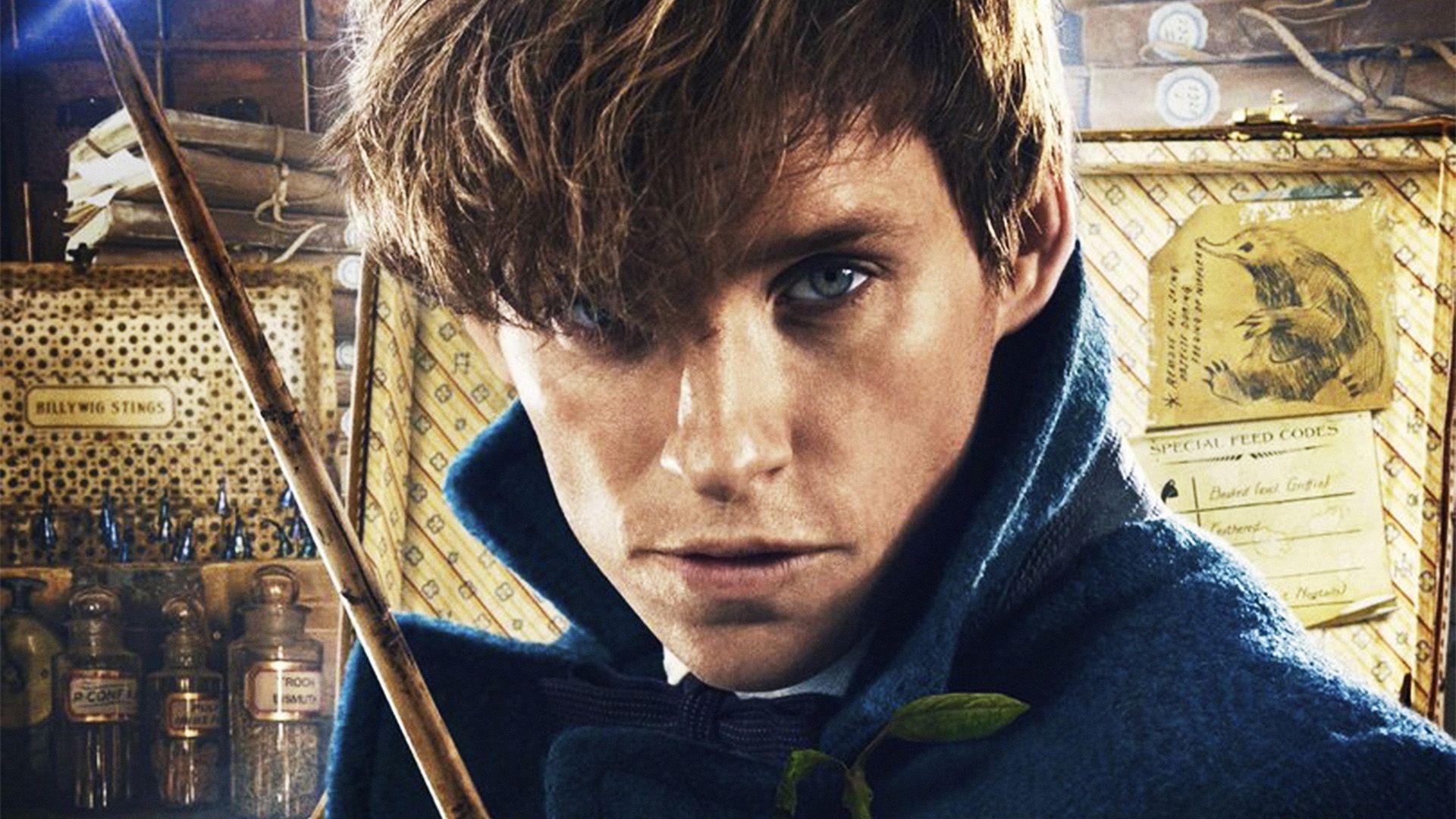 1920x1080 Fantastic Beasts And Where To Find Them Film Illustration Art