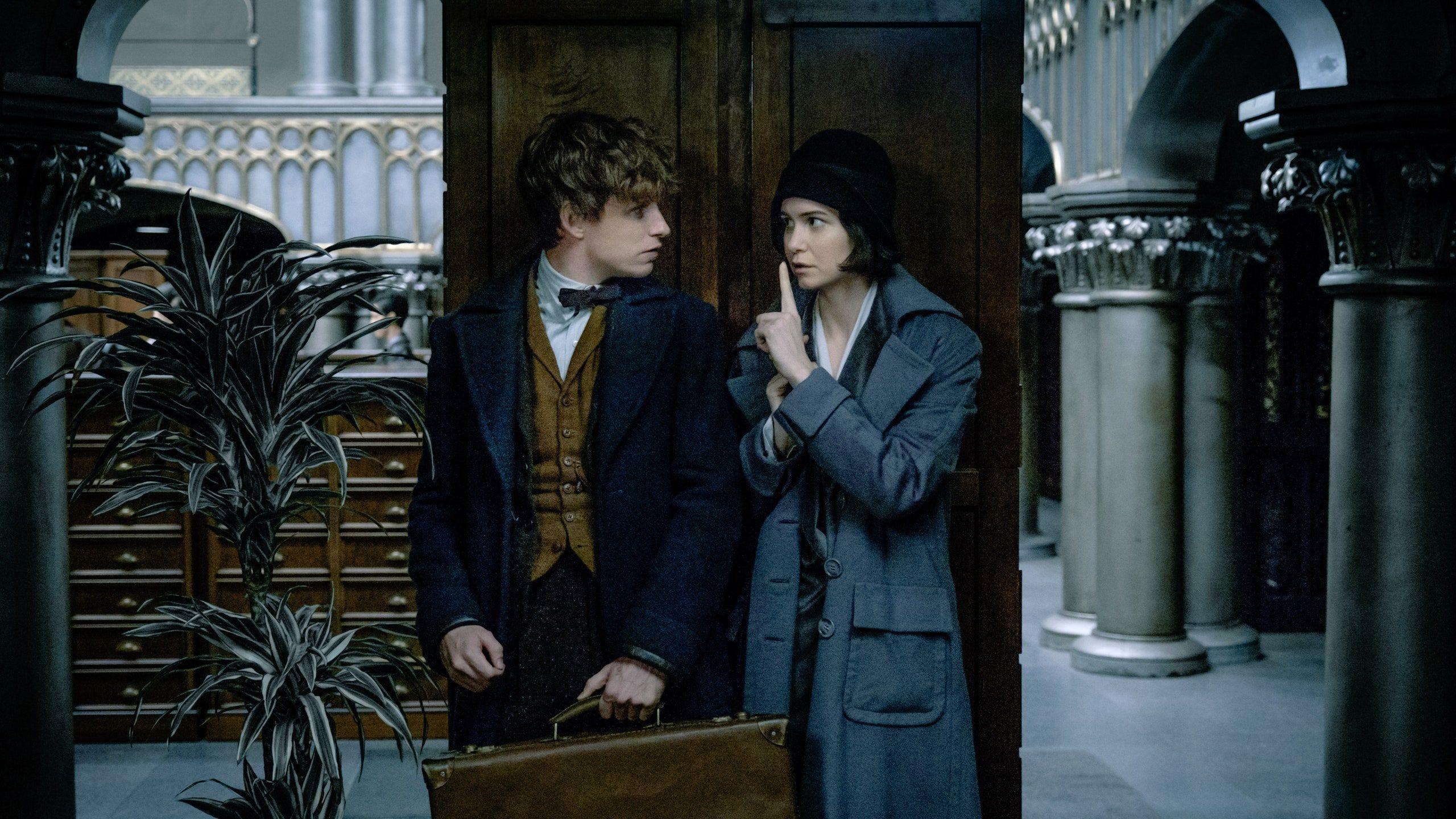 2560x1440 Fantastic Beasts and Where to Find Them': Here's What We Know