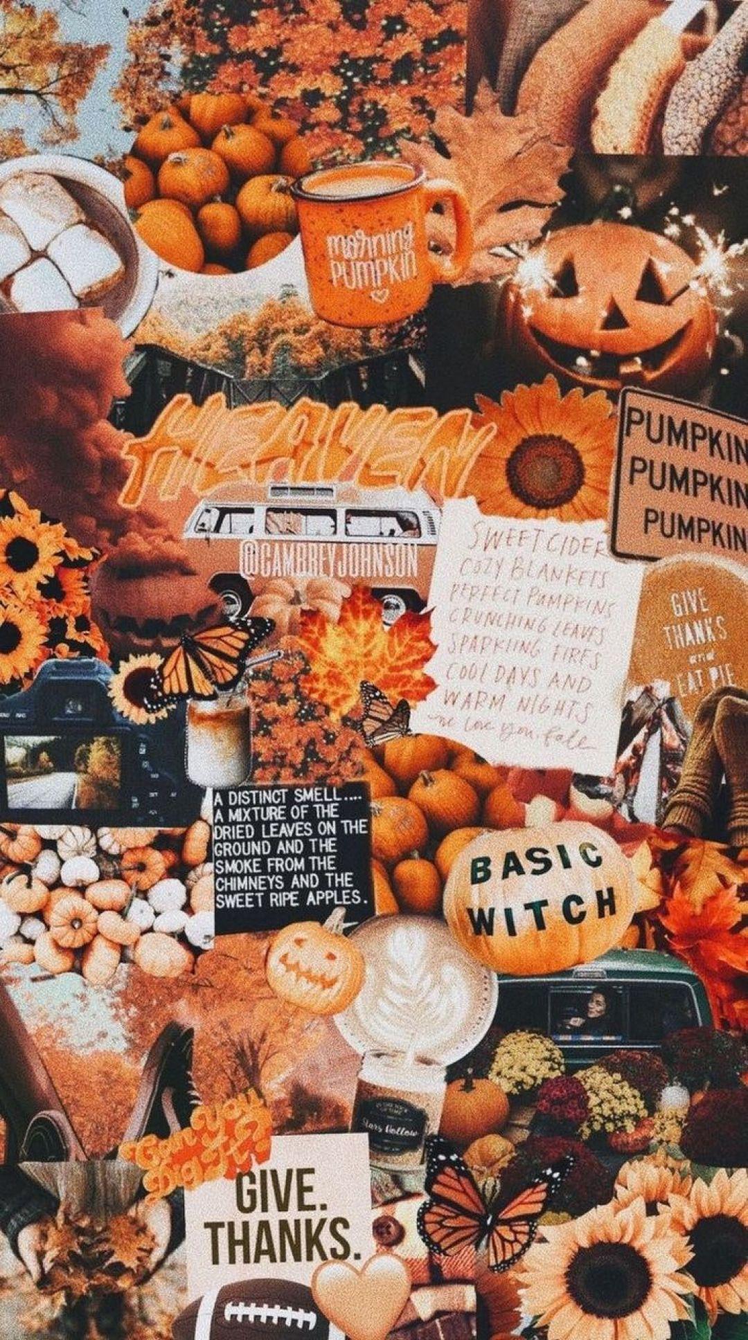 21 Aesthetic Fall Iphone Wallpapers You Need for Spooky Season  Chasing  Chelsea