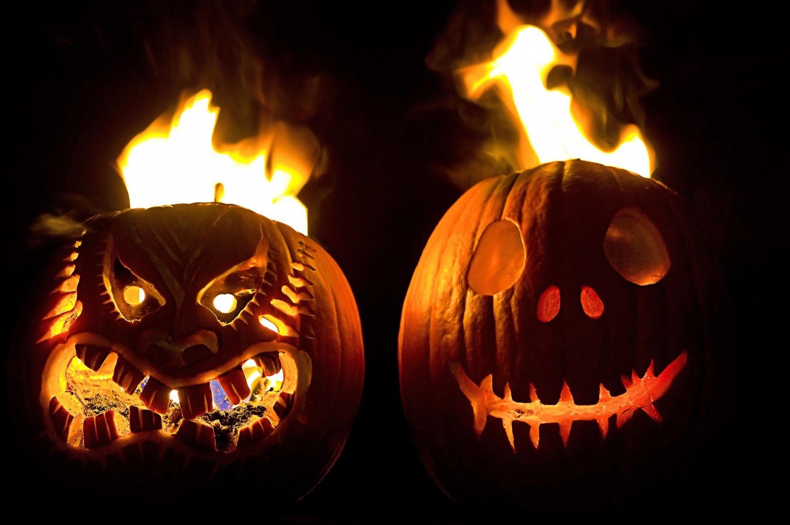 2560x1700 Free download 4K Pumpkin Wallpaper High Quality Download