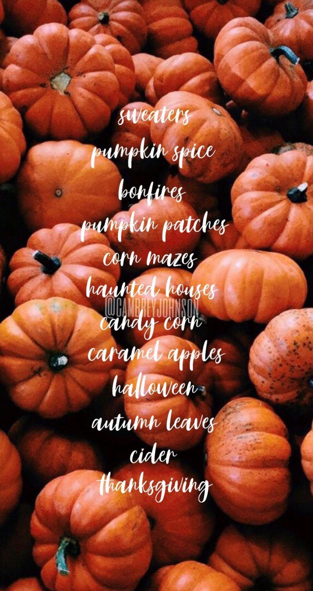 1080x2035 Hello Autumn Aesthetic HD Wallpaper Desktop Background