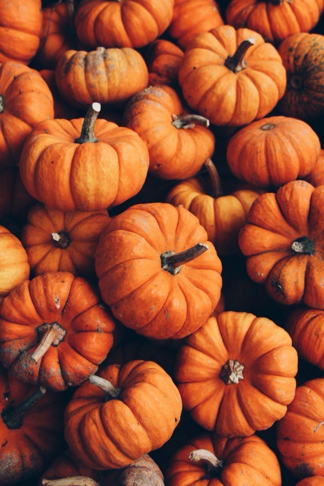 1080x1621 Aesthetic Pumpkin, iPhone, Desktop HD Background / Wallpaper (1080p, 4k) #hdwallpaper. Fall wallpaper, iPhone wallpaper fall, Fall picture