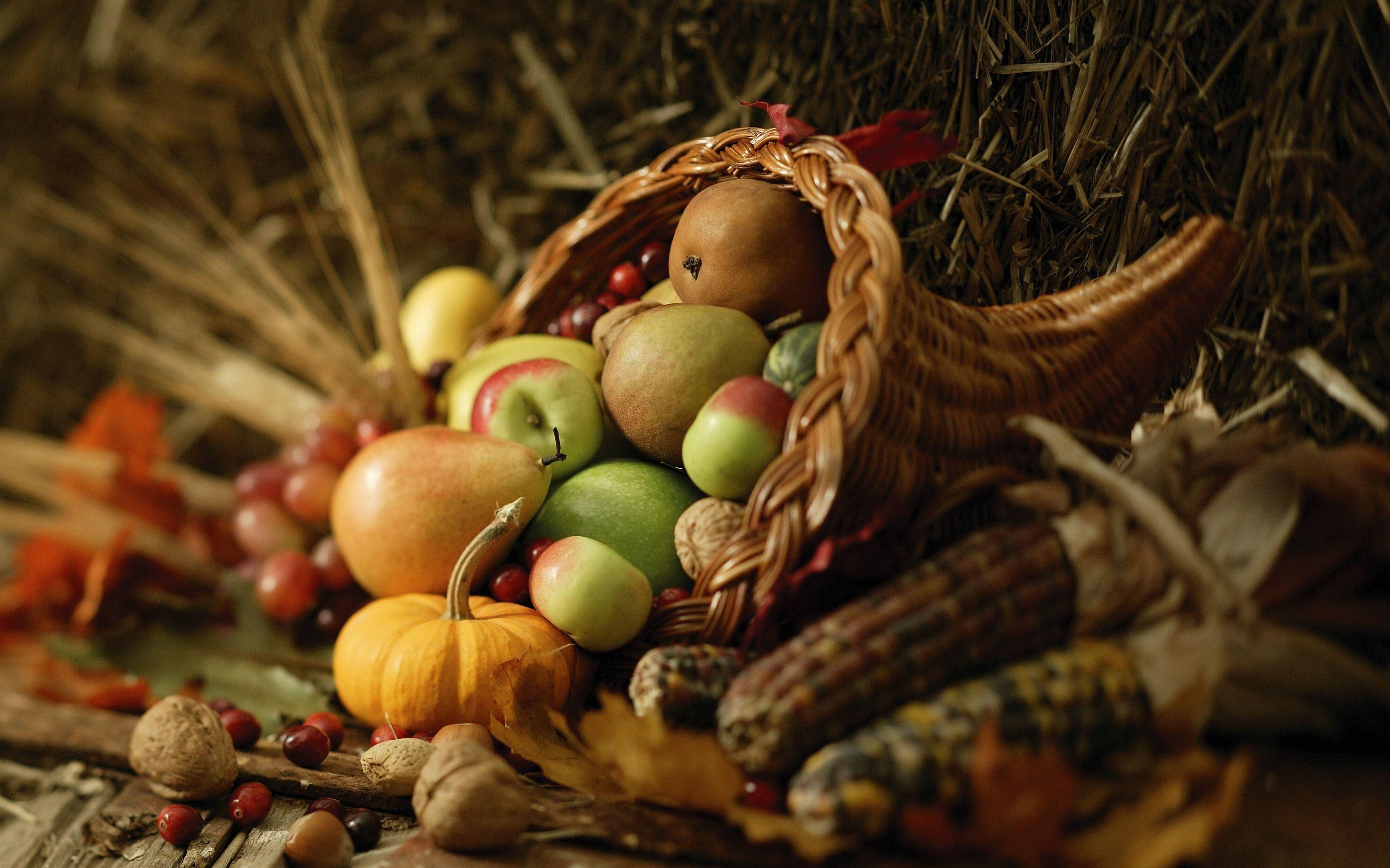 3840x2400 Download Wallpaper 3840x2400 Food, Autumn, Harvest, Composition