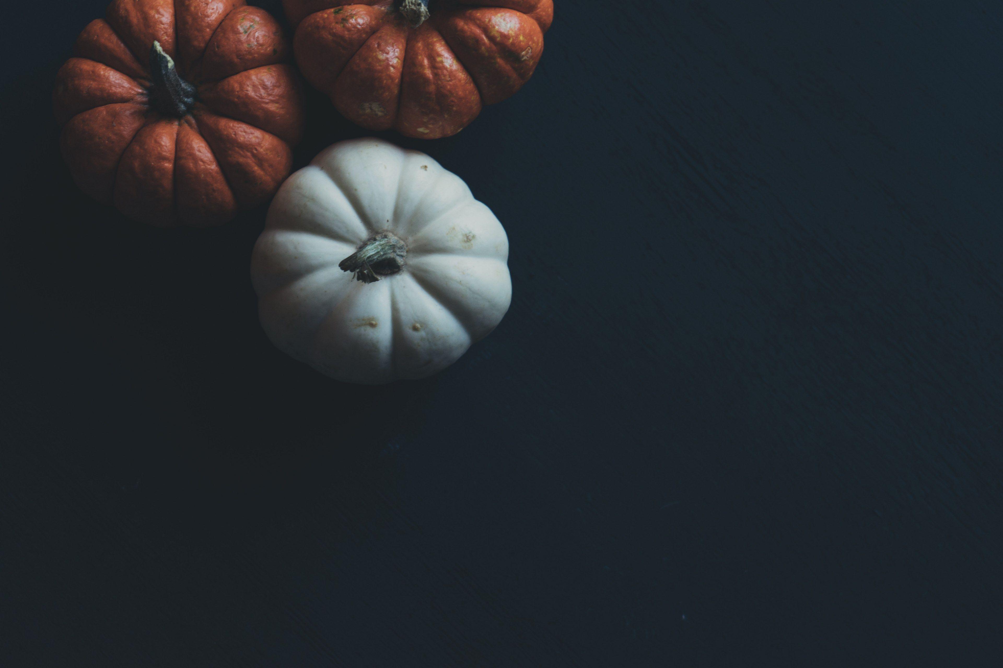 3840x2560 food gourd autumn and thanksgiving HD 4k wallpaper and background