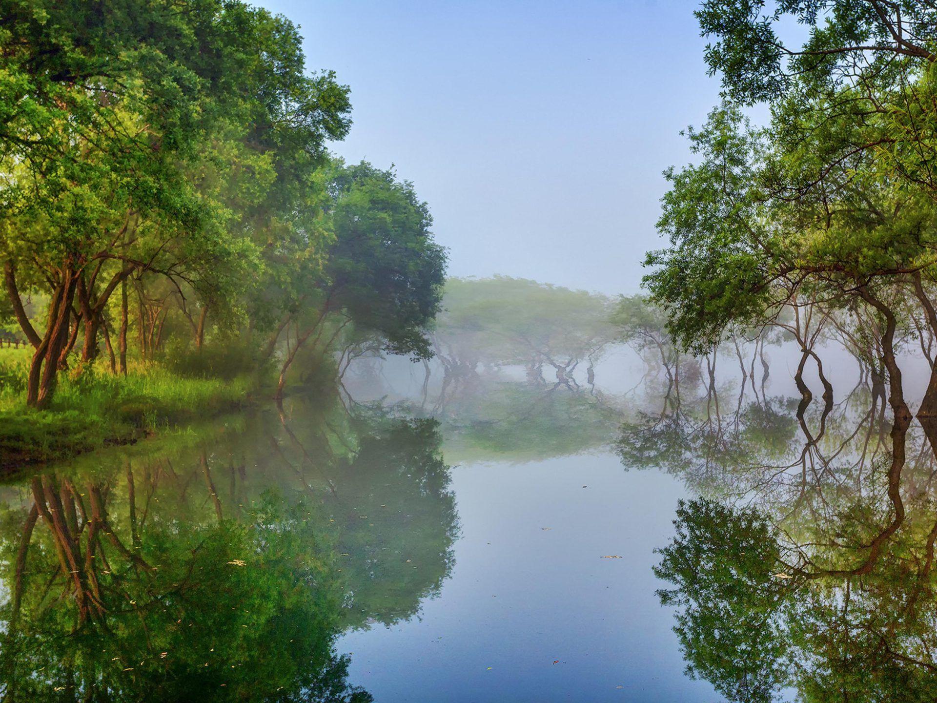1920x1440 Reflections Of Trees Lake Lohas Cheongwon Gun South Korea Summer