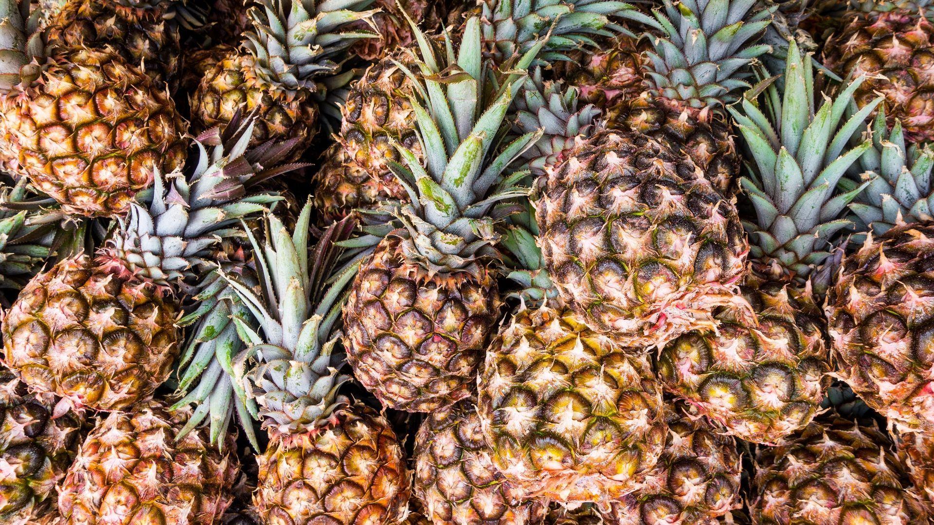 1920x1080 Pineapple Wallpaper For Laptop, Download Wallpaper