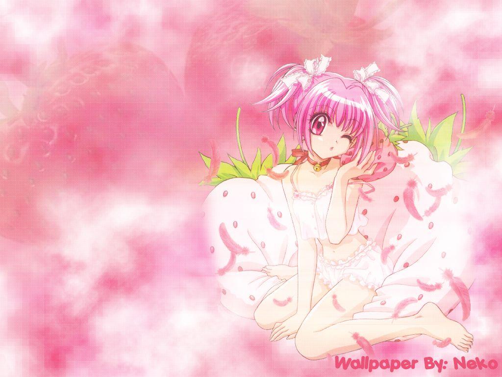 1024x768 Tokyo Mew Mew and Scan Gallery
