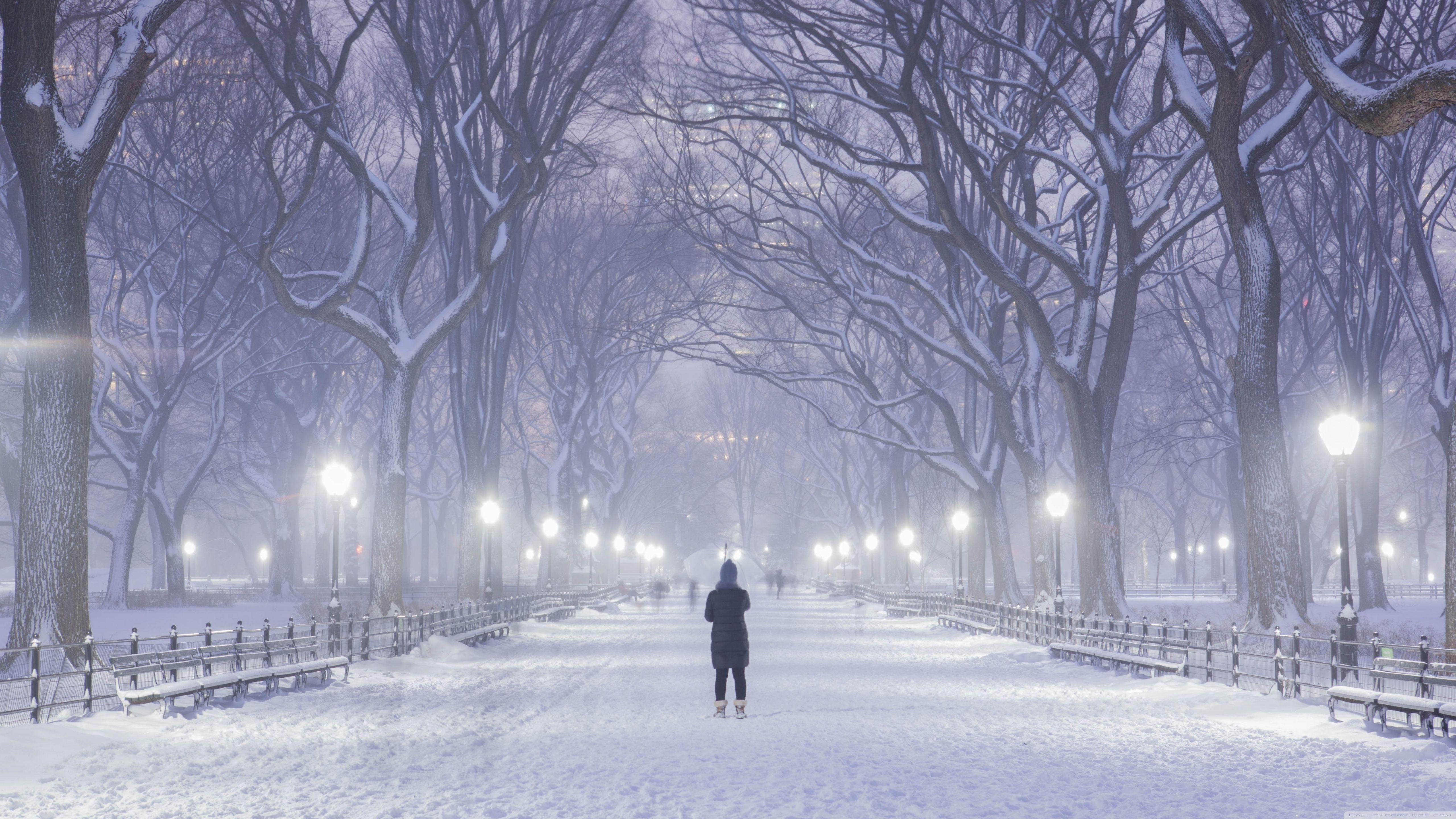 5120x2880 Standard York Winter 4k Wallpaper