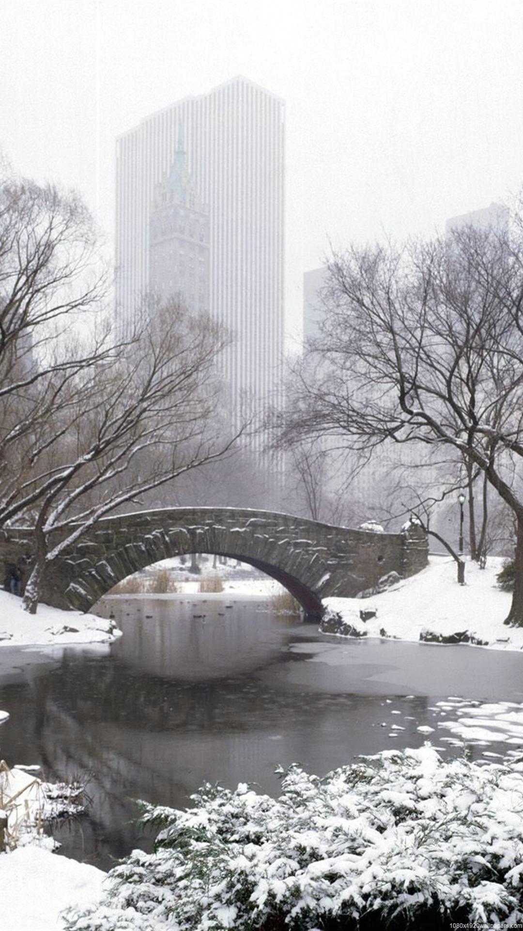 1080x1920 Winter City New York Nature Park Wallpaper HD