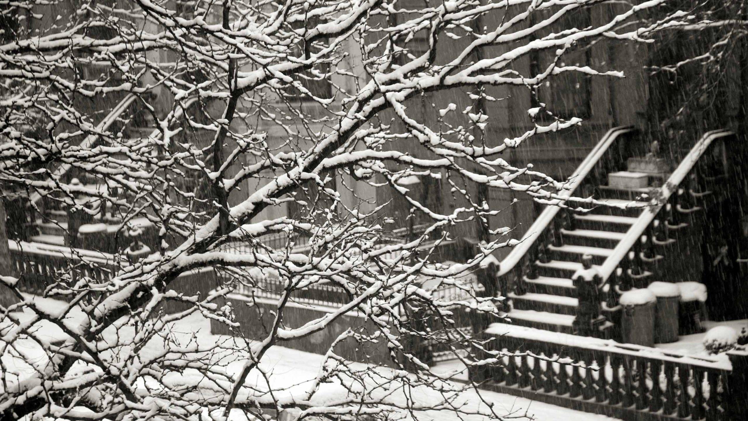 2560x1440 Winter In New York Mac Wallpaper Download