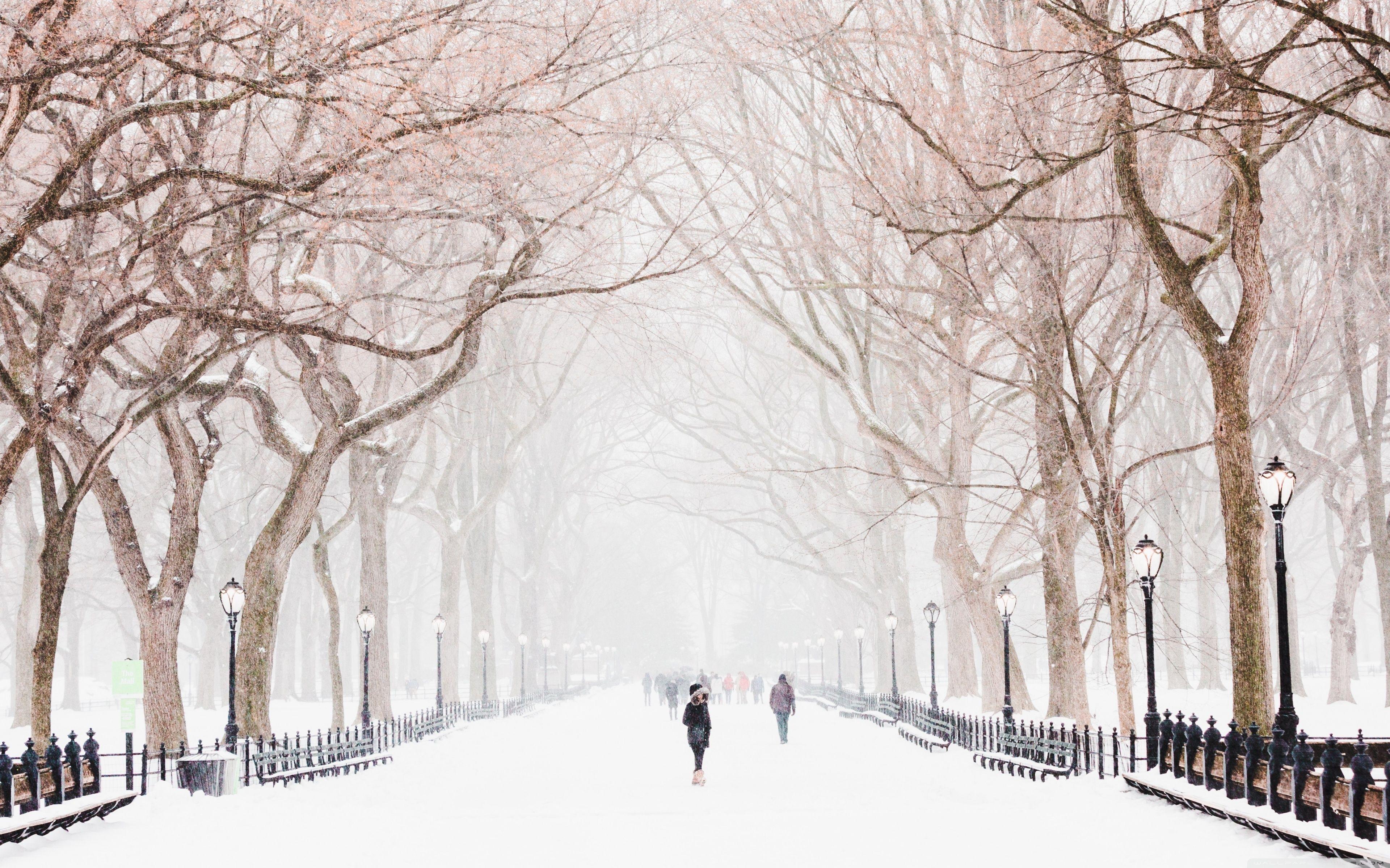 3840x2400 Download Winter, Central Park, New York City UltraHD Wallpaper