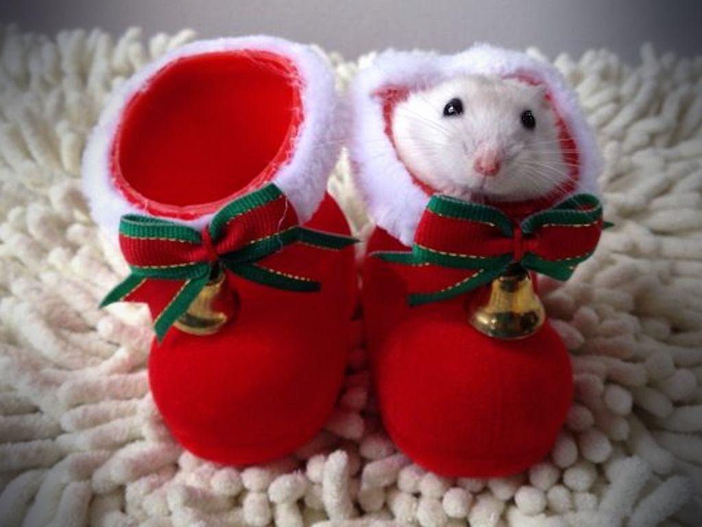 1024x768 Winter: White Christmas Shoes Bells Rug Mouse Red Gold Holiday