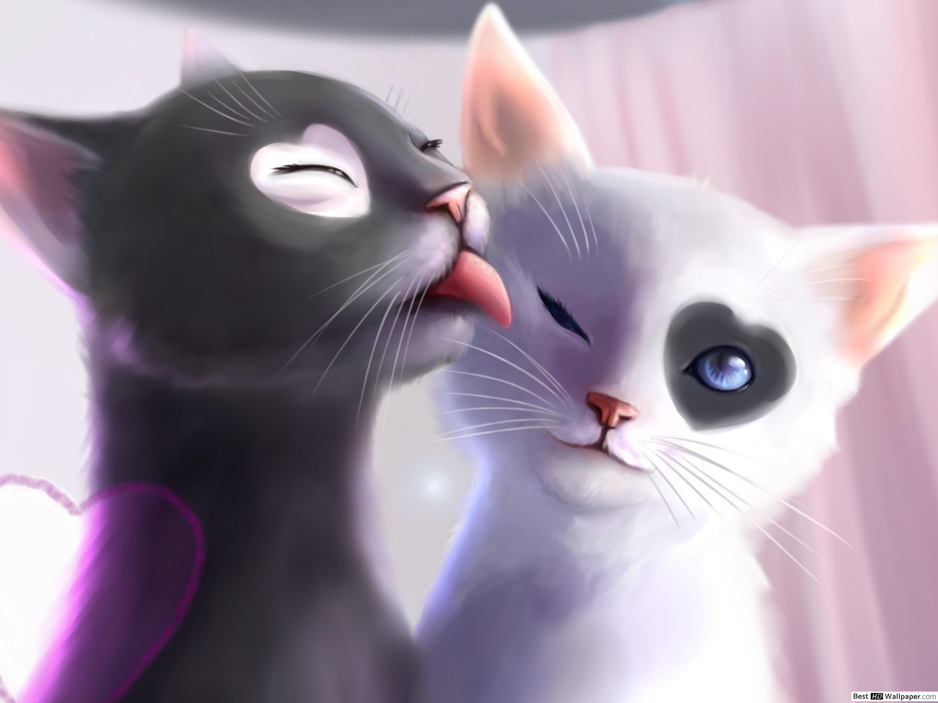 3200x2400 Black and White Cat Romance HD wallpaper download