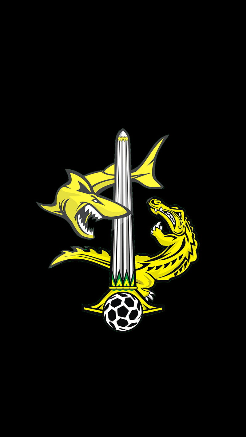 800x1422 1320x2868px, 2K free download. Dark Persebaya Logo, bondo nekat, bonek, green force, HD phone wallpaper