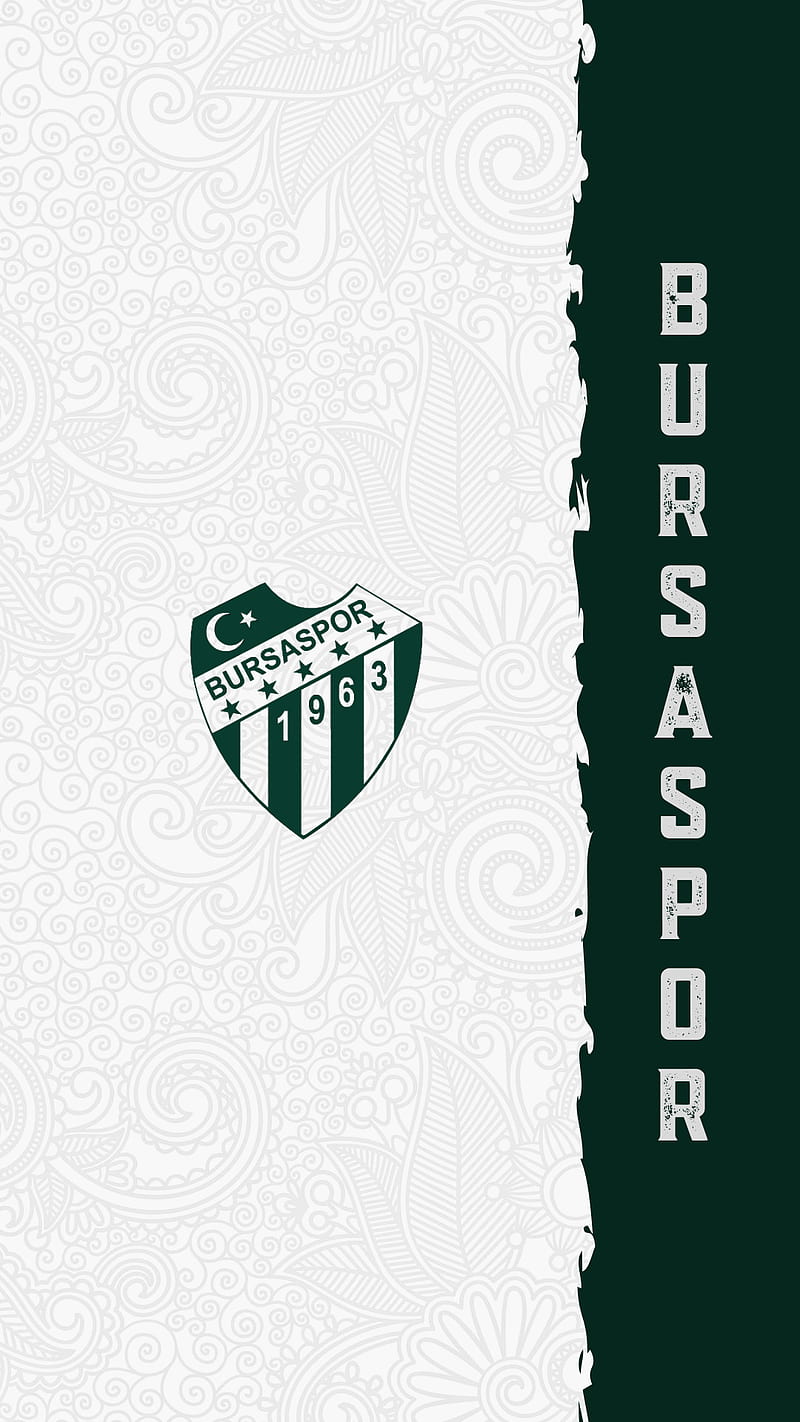 800x1422 Bursaspor, bursa, green, logo, teksas, white, HD phone wallpaper