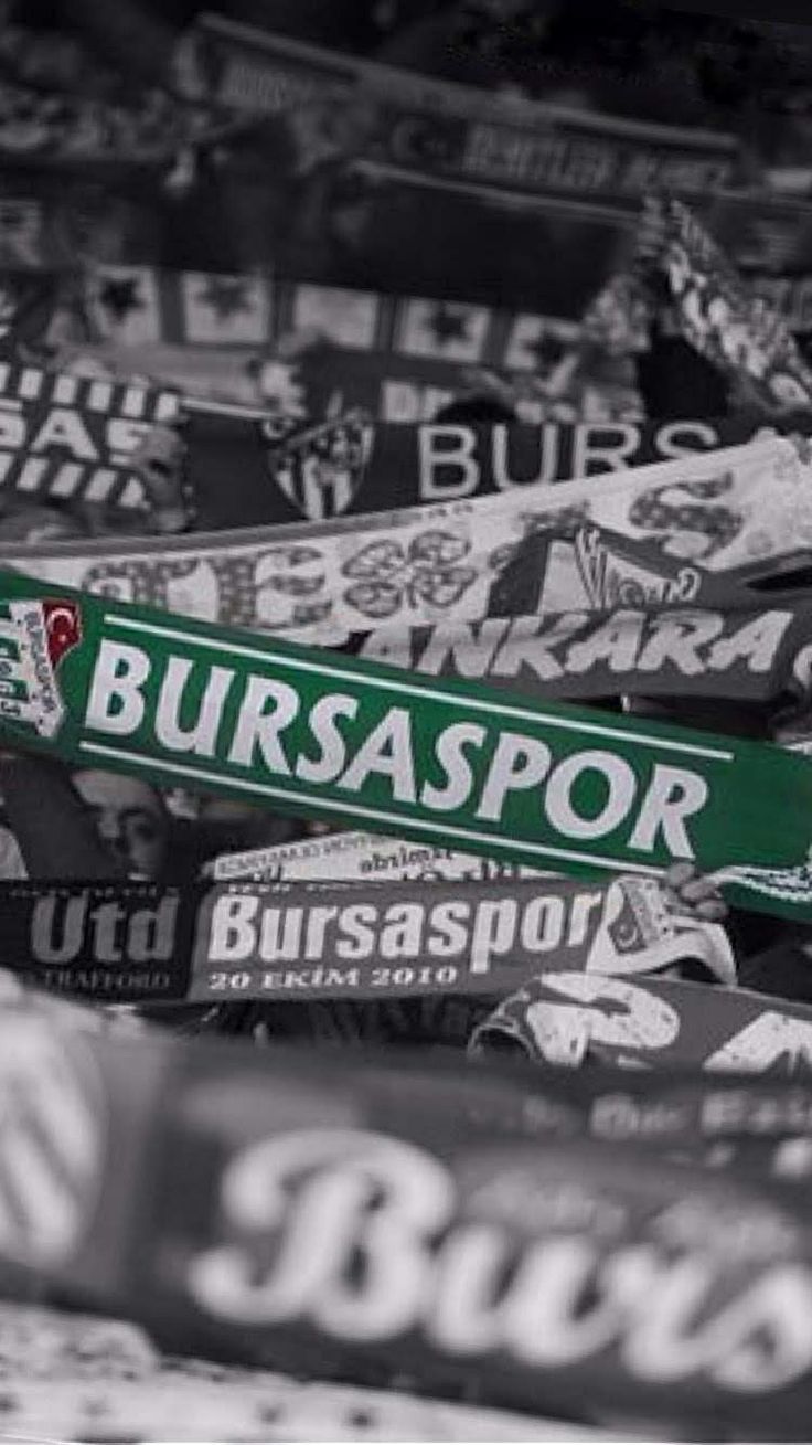 736x1309 Bursaspor wallpaper
