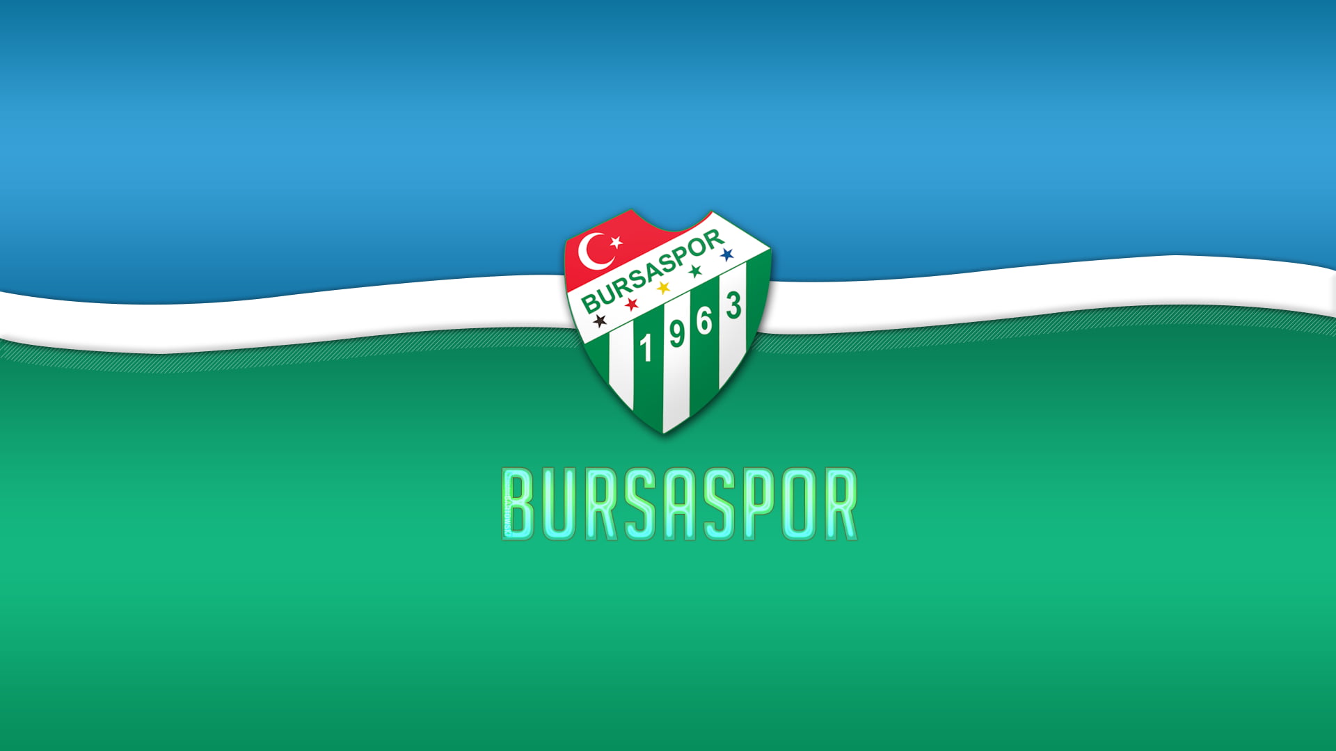 1920x1080 Bursaspor logo, Bursaspor, green, sports, soccer HD wallpaper