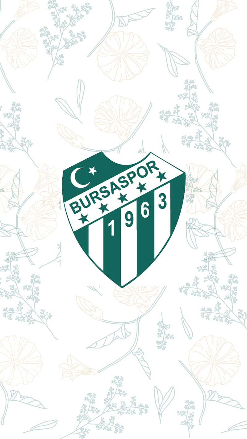 800x1422 Bursaspor, arma, best, bursa, new, paper, sport, texas, wall, HD phone wallpaper