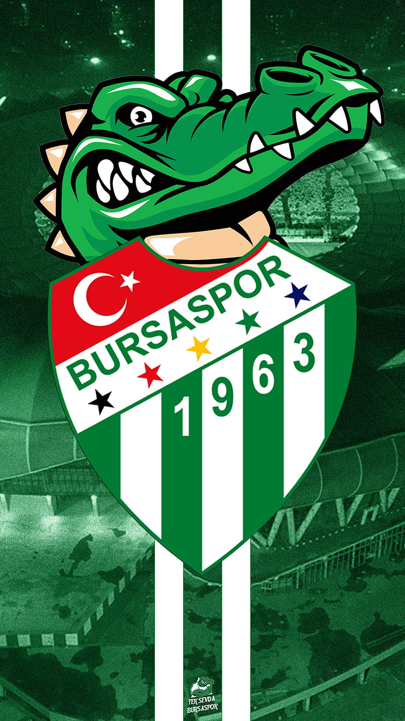 800x1422 Bursaspor, bursa, bursaspor, crocodile, football, green, teksas, timsah, white, HD phone wallpaper