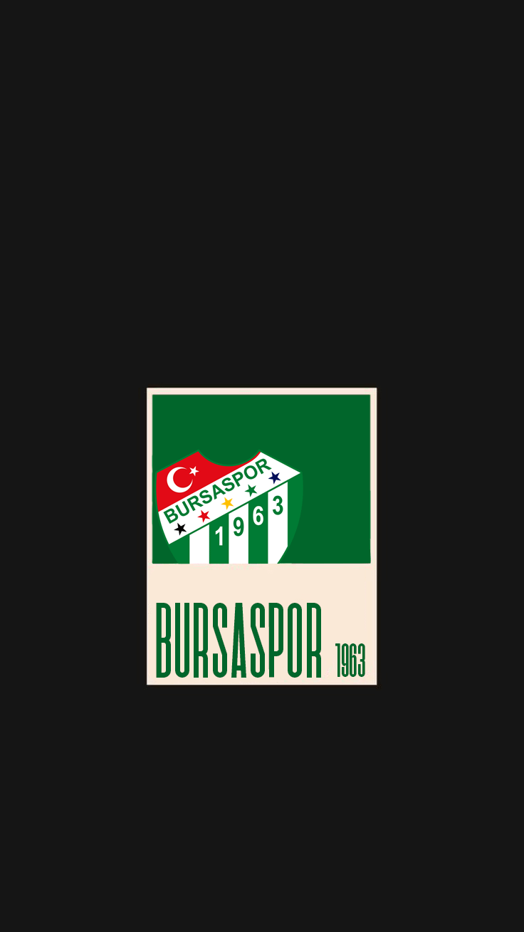 736x1308 Bursaspor Wallpaper