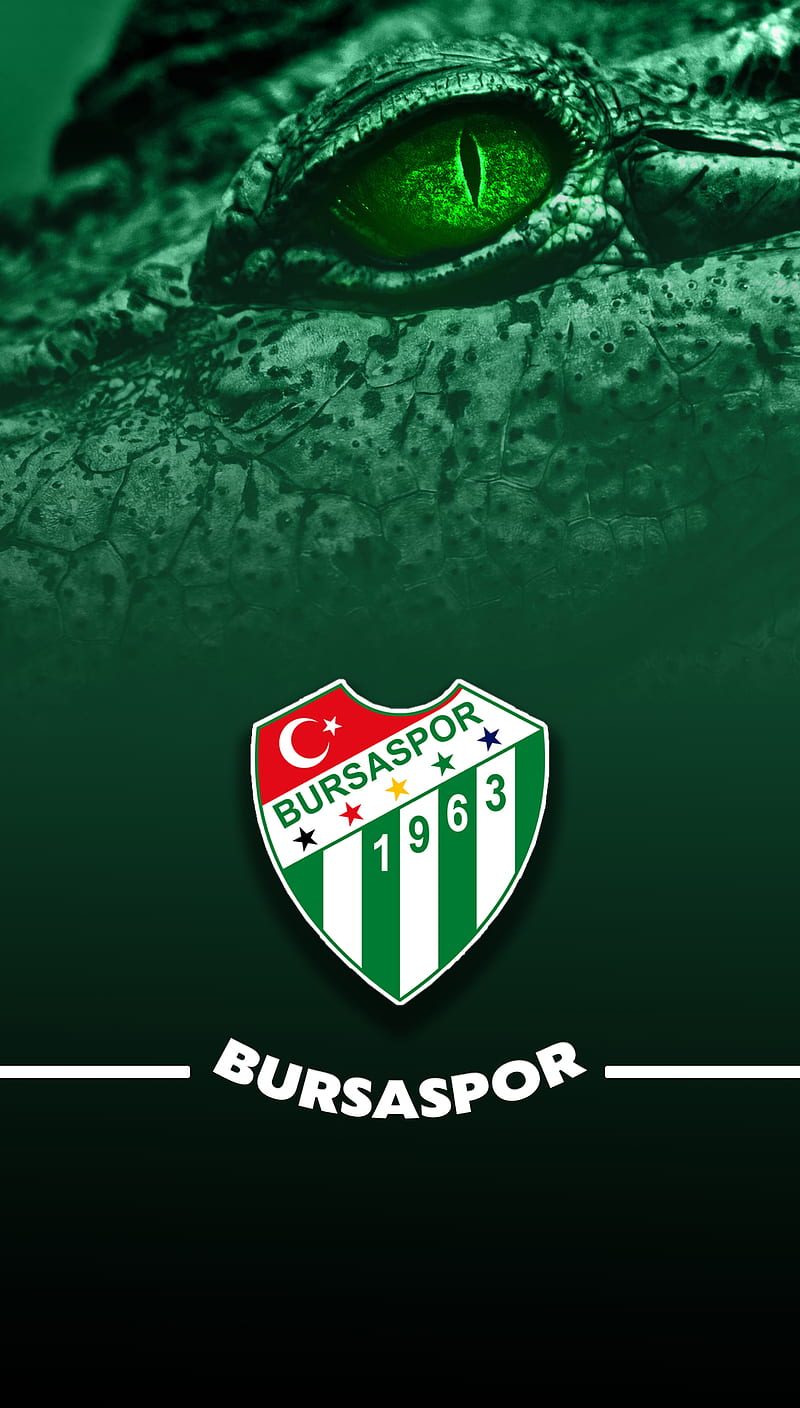 800x1408 HD timsah wallpaper