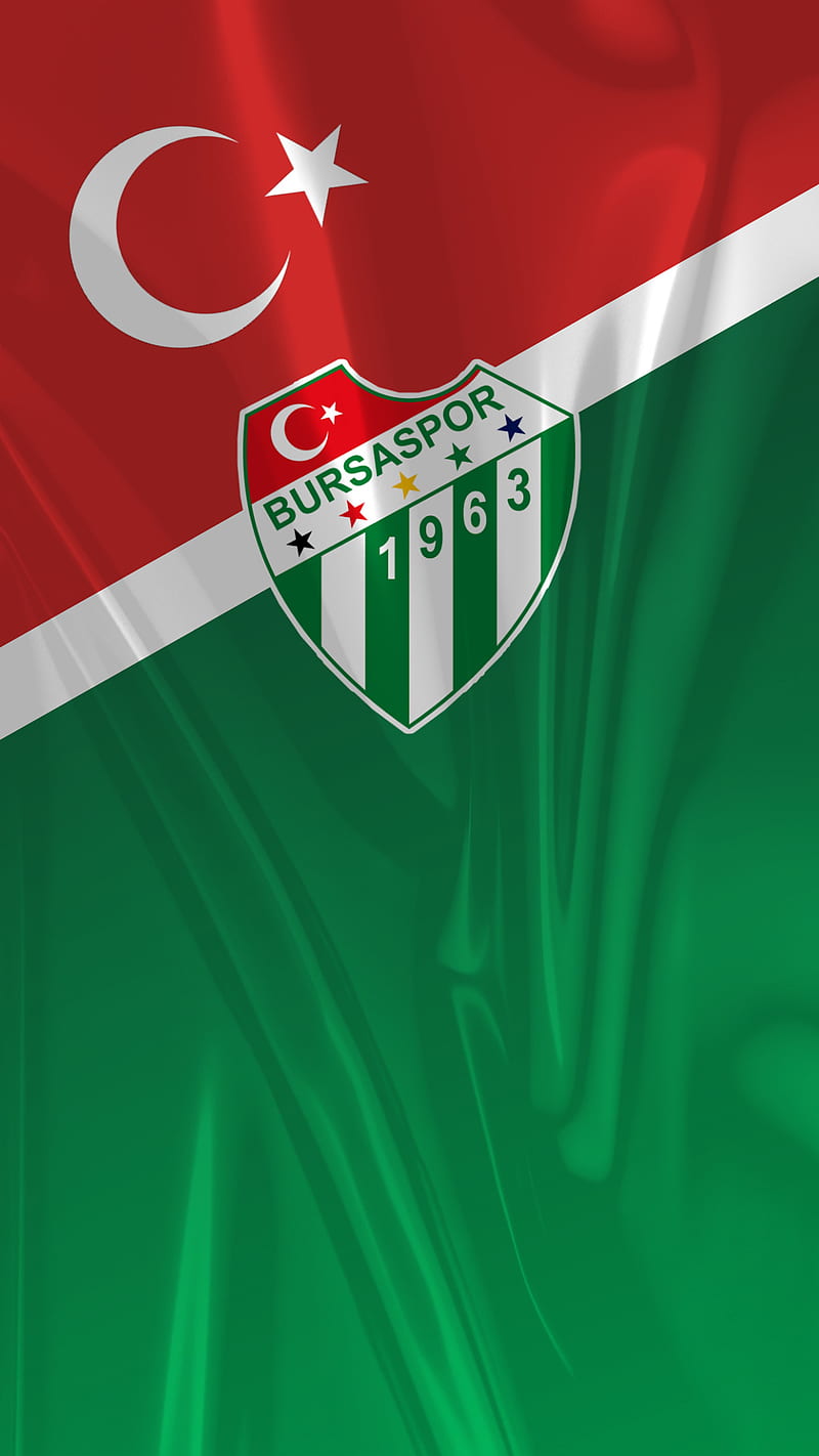 800x1422 HD bursaspor bursa wallpaper