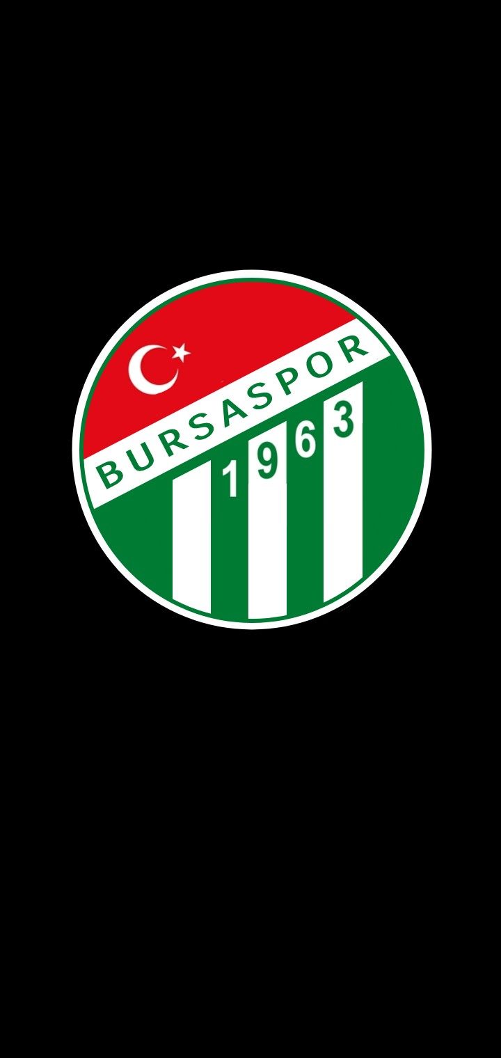 720x1520 BURSASPOR LOGO WALLPAPER
