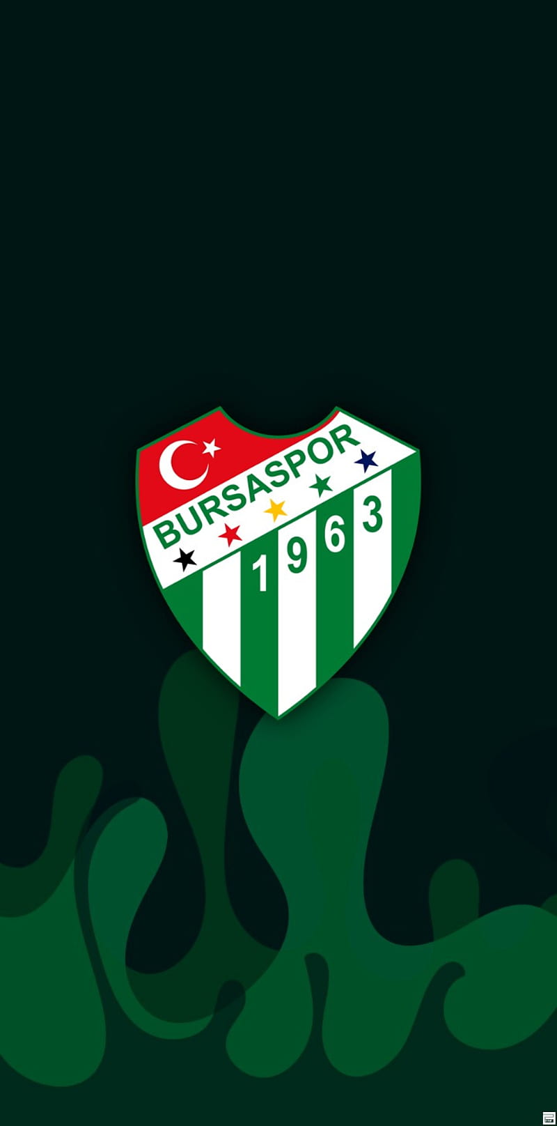 800x1616 Bursaspor, boyfriend, bursa, come, flag, food, football, logo, love, nuts, play, HD phone wallpaper