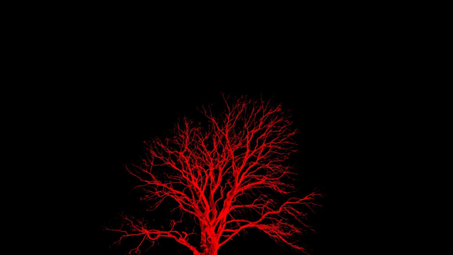 Black Tree Galaxy HD wallpaper