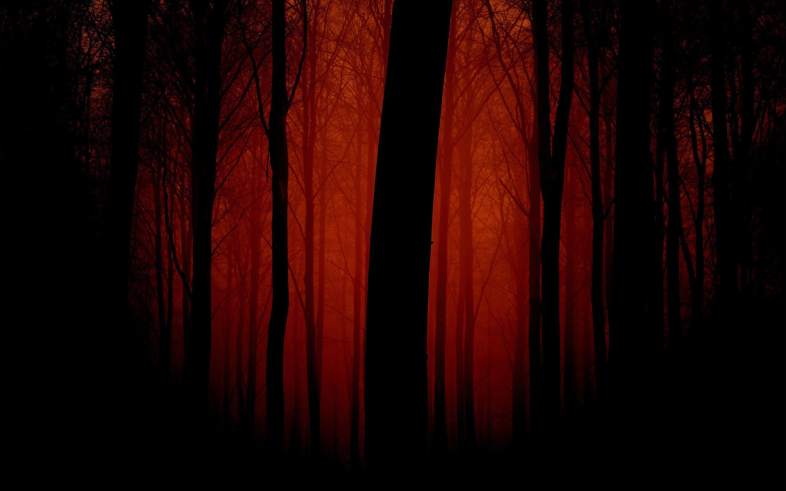 Red And Black Tree Wallpapers Top Free Red And Black Tree Backgrounds