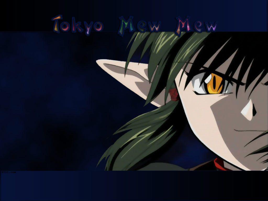 1024x768 Tokyo Mew Mew