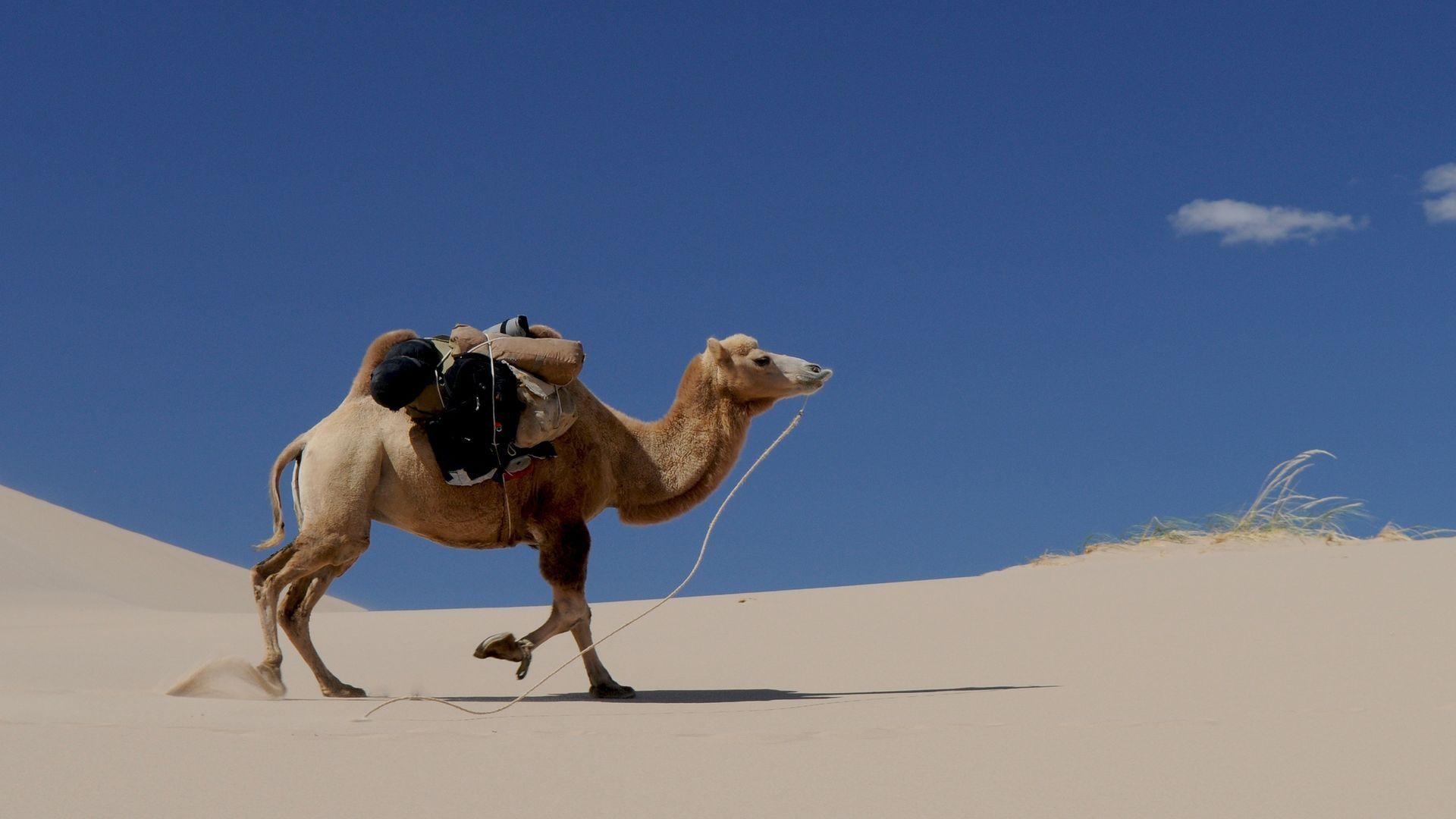 1920x1080 Desert Sand Wallpaper