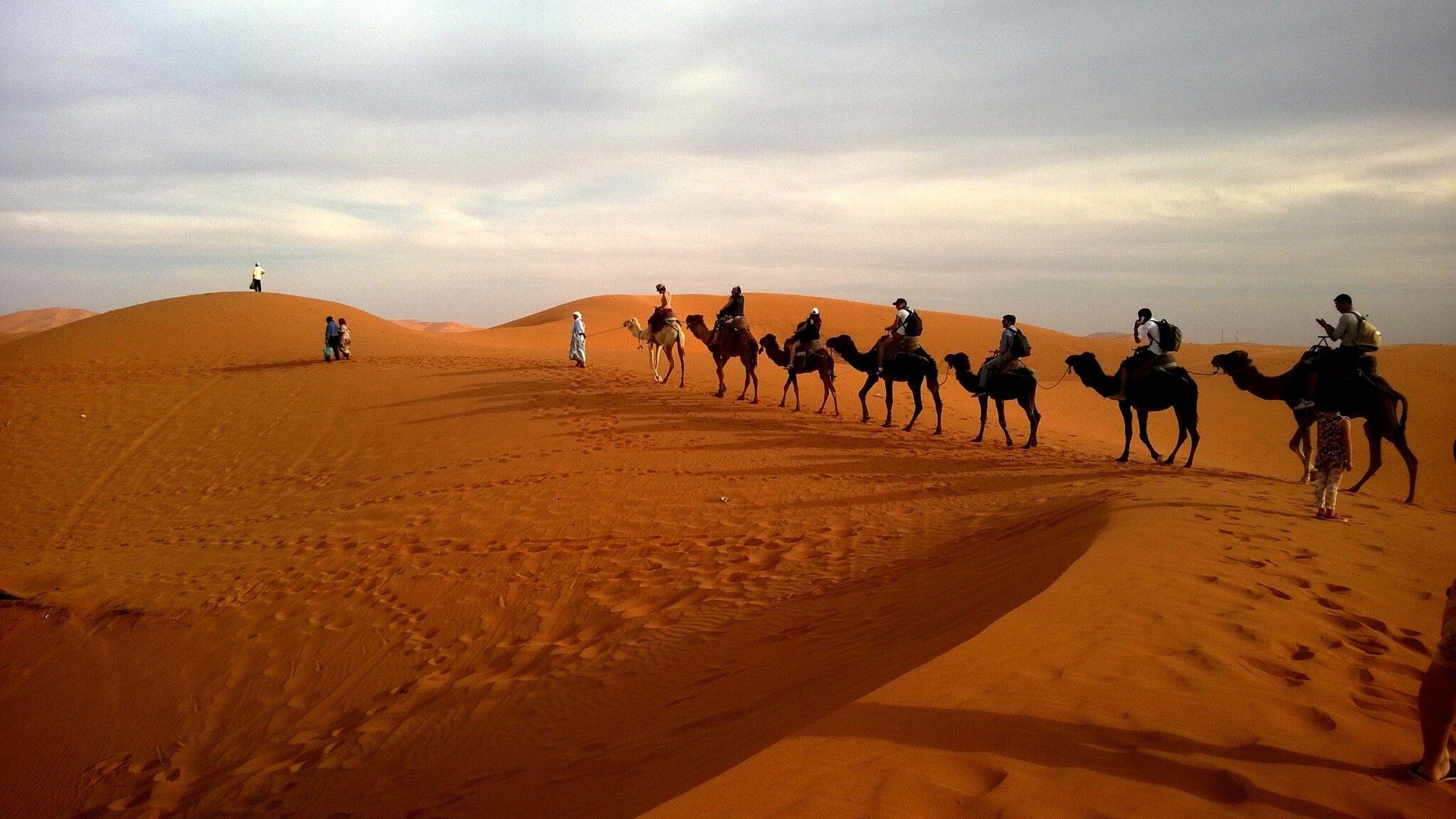 2048x1152 Camels In Caravan Desert 2048x1152 Resolution HD 4k