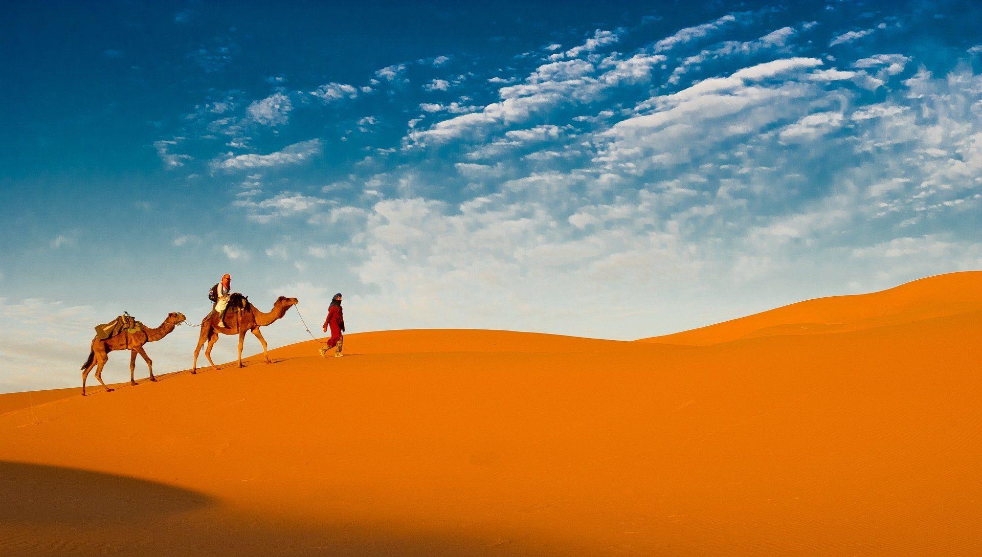 1920x1089 Caravan HD Wallpaper