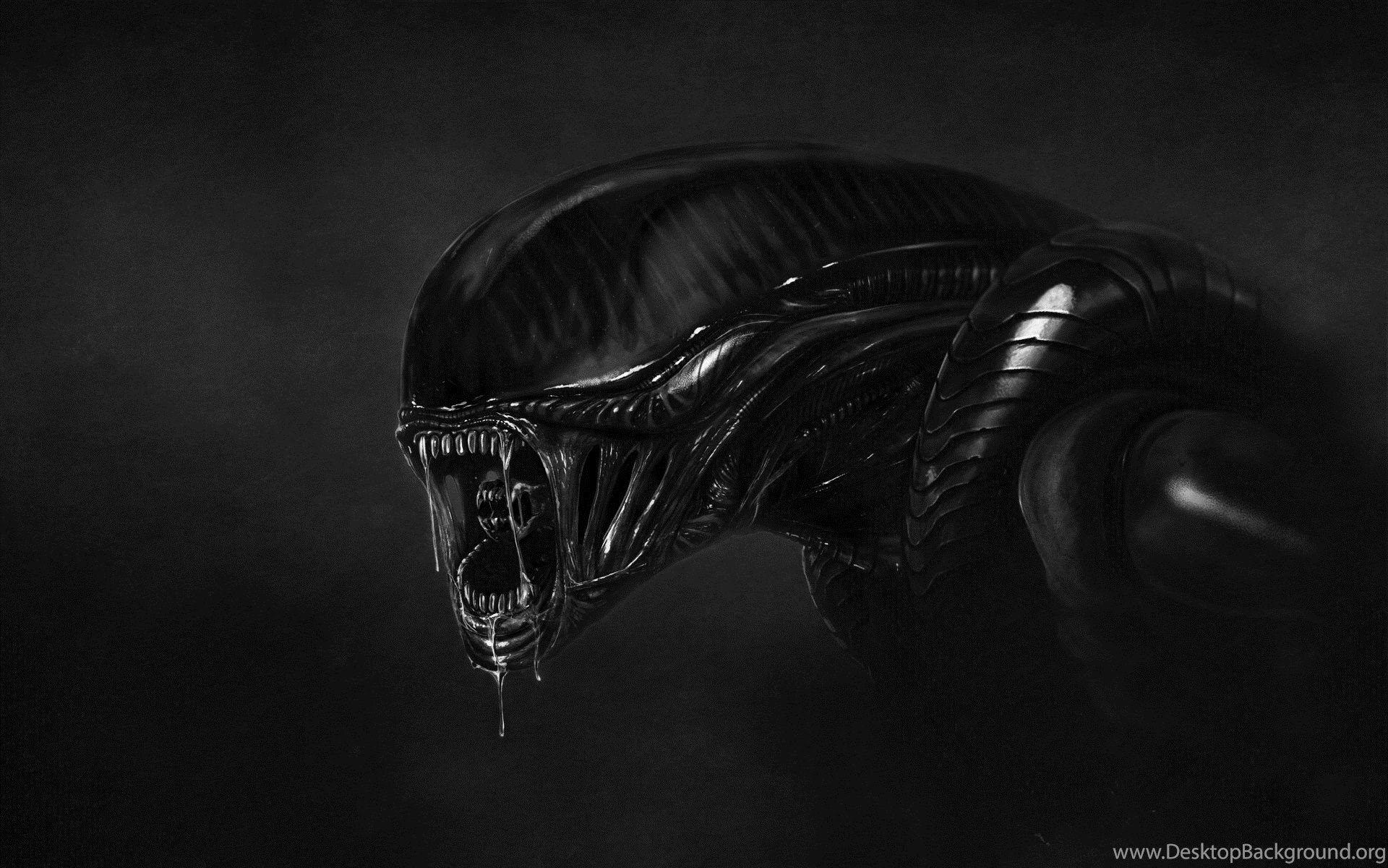 1920x1200 Ultra High Resolution Wallpaper