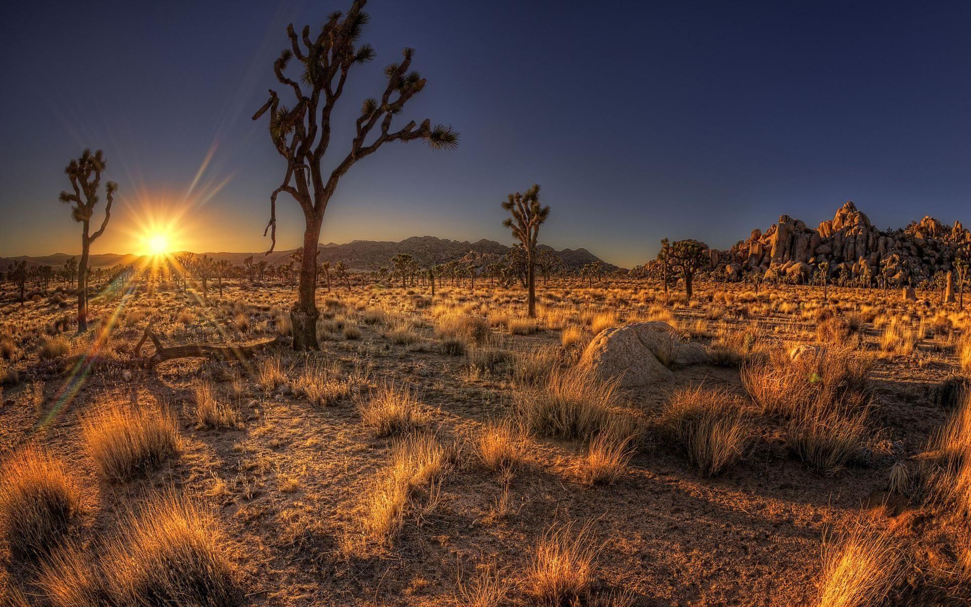 1920x1200 Arizona Full HD Quality Wallpaper, Widescreen Wallpaper