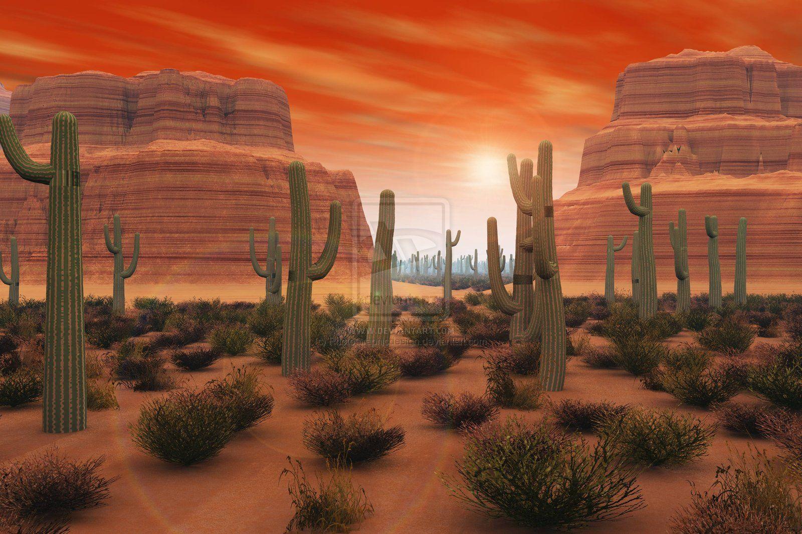 Desert Cartoon Wallpapers - Top Free Desert Cartoon Backgrounds