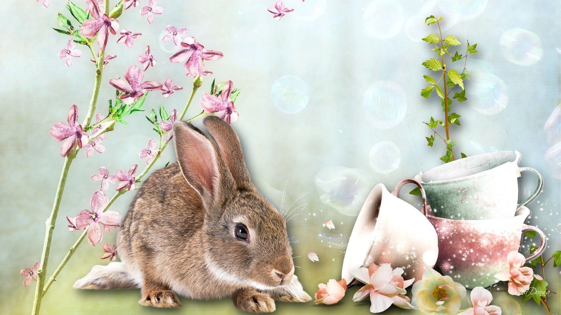 1920x1080 Flowers: Country Whimsical Coffee Smelling Smell Flowers Cup Stop