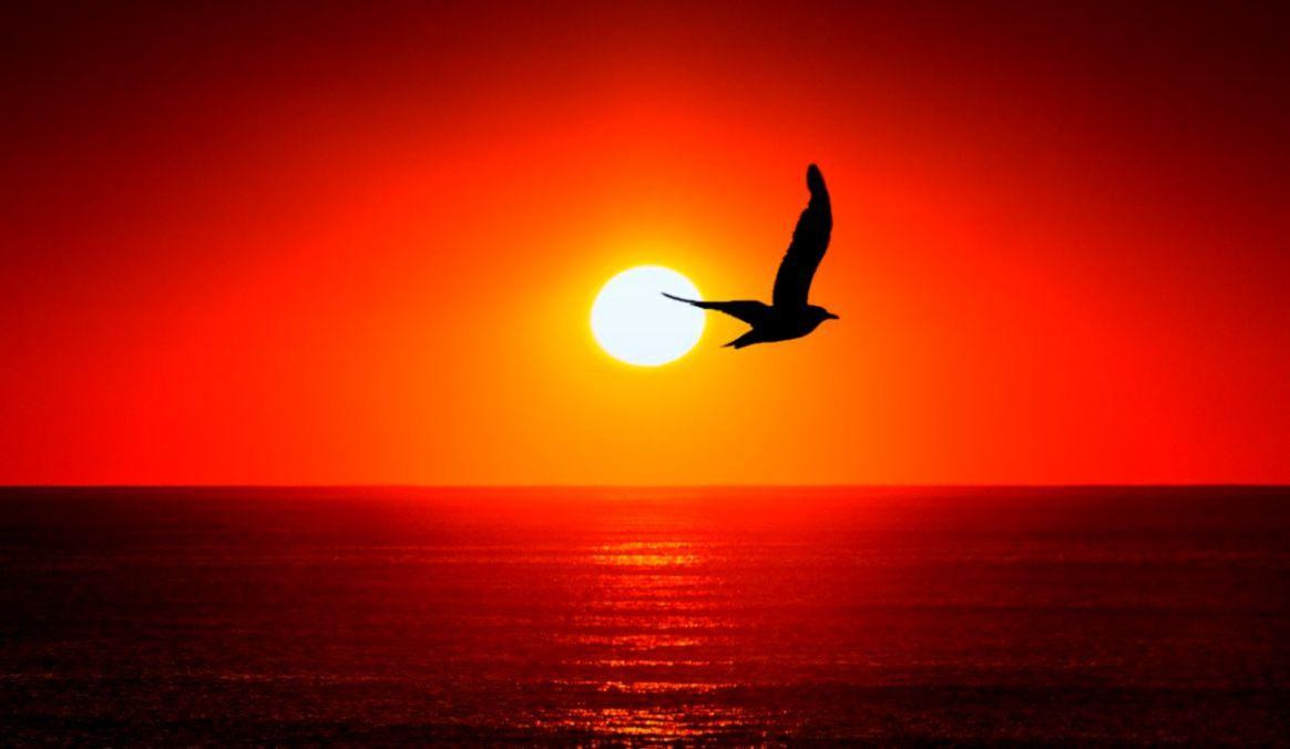 1164x676 Sunset Wallpaper HD Hd Wallpaper HD Sun Set