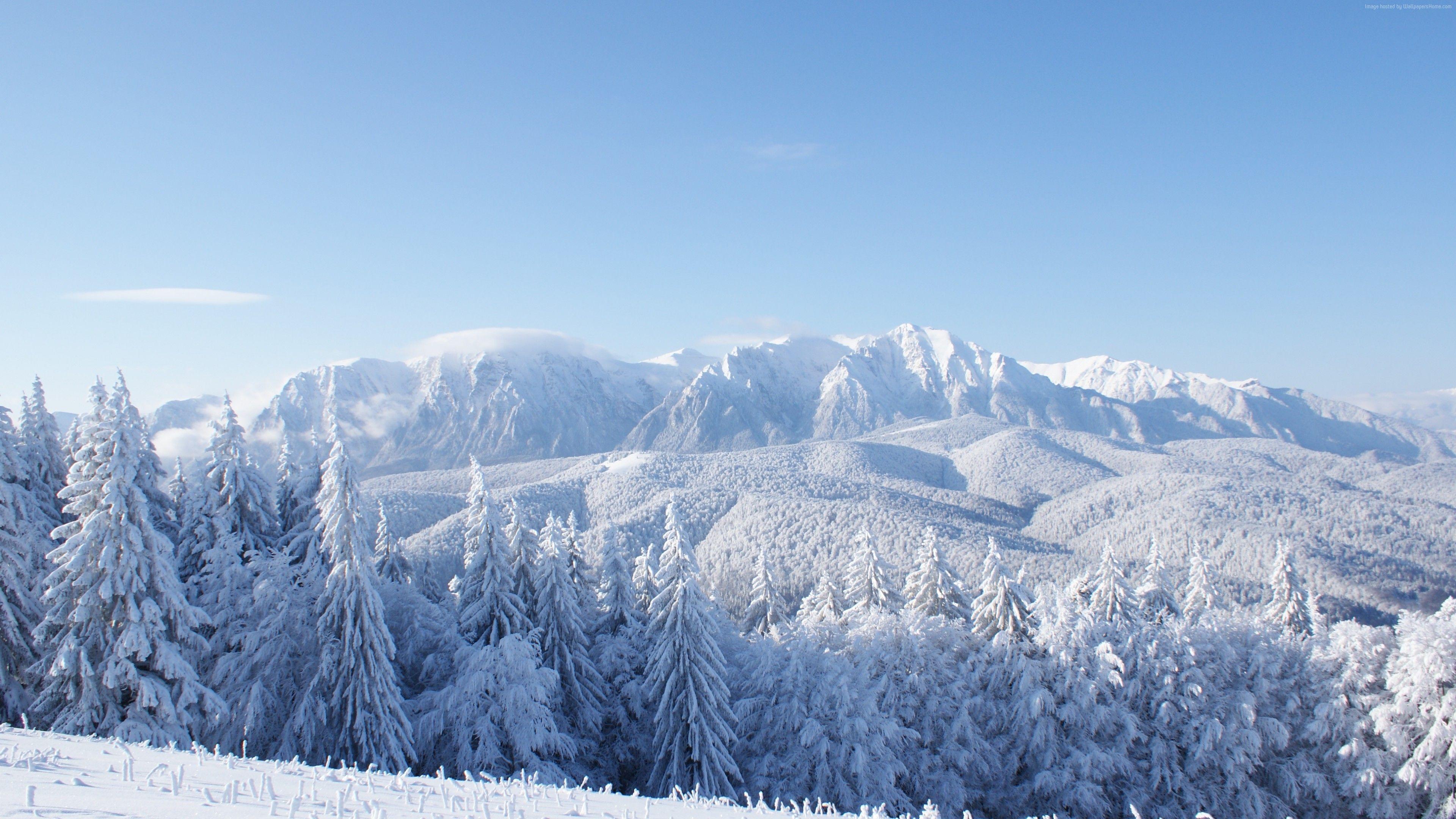 3840x2160 Wallpaper mountains, forest, trees, snow, winter, 4k, Nature Wallpaper Download Resolution 4K Wallpaper