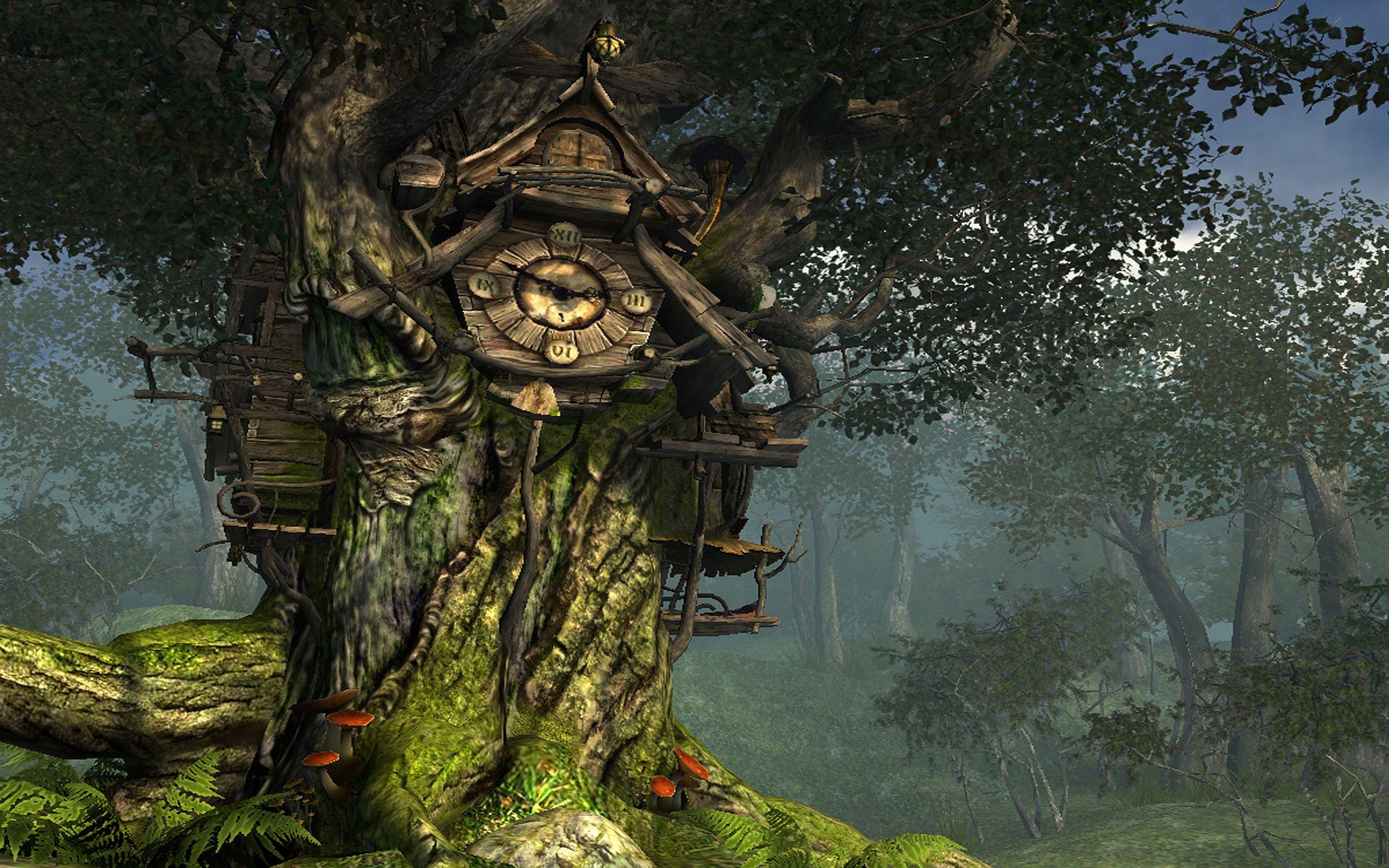 2560x1600 Forest HD Wallpaper and Background Image