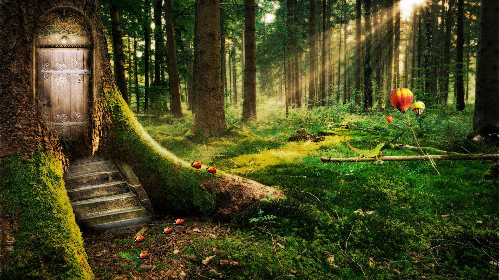 1920x1080 fantasy, Forest, Balloons, Ballon, Magical Wallpaper HD / Desktop
