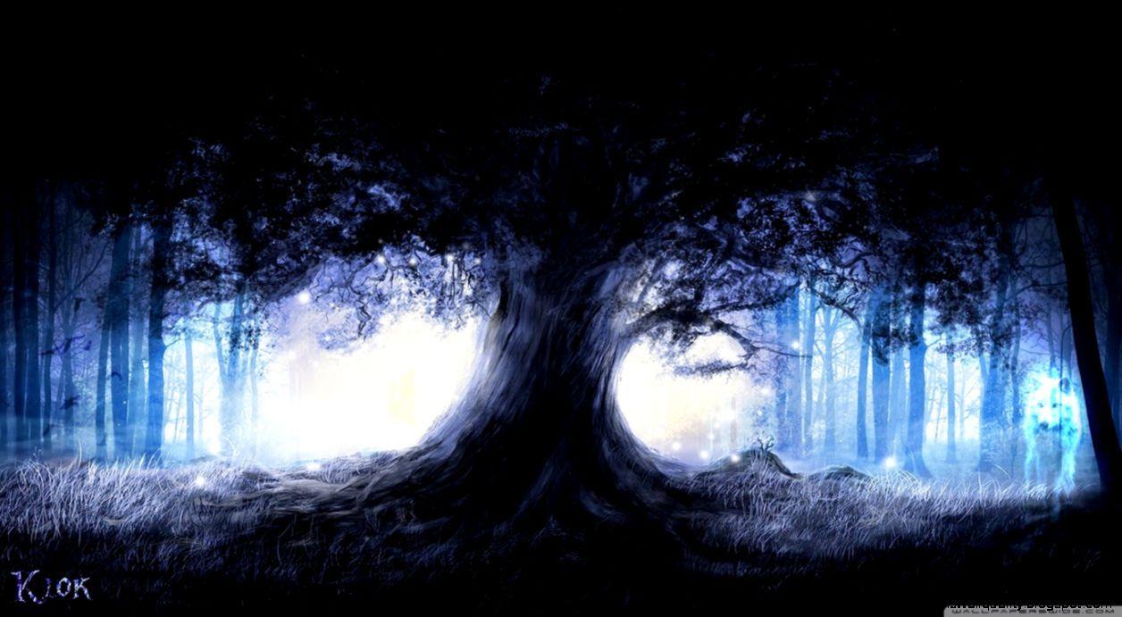 1256x691 Nature Fantasy Forest Wallpaper HD