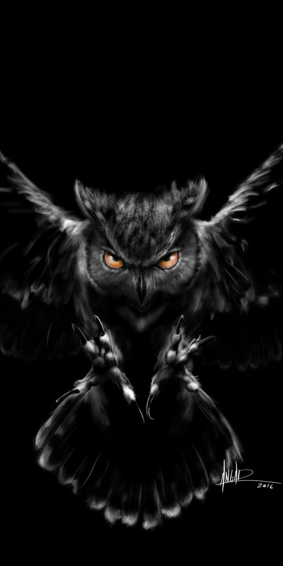 1080x2160 Download 1080x2160 Black Owl, Scarry Wallpaper for Huawei Mate 10